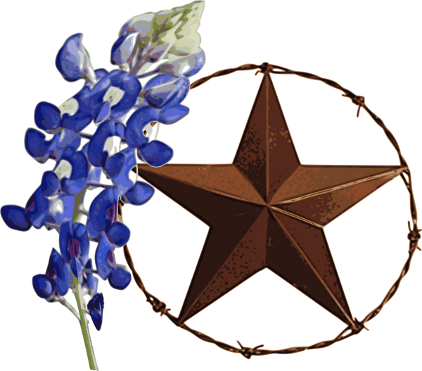 Texas Star with Bluebonnet - Left